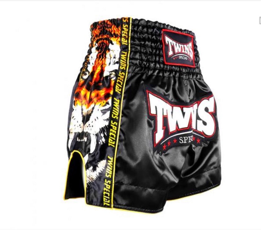 Шорты Twins Special Muay Thai TBS-New Payak