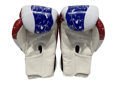 Top King Boxing Gloves TKBGFV Thailand - SUPER EXPORT SHOP