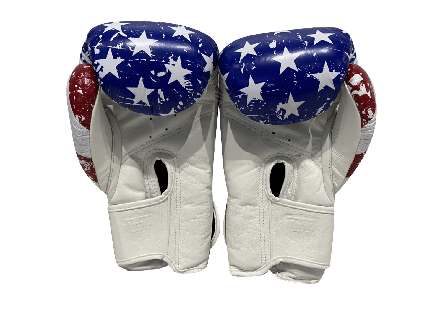 Top King Boxing Gloves TKBGFV USA - SUPER EXPORT SHOP